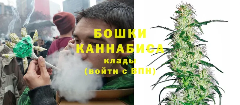 Конопля SATIVA & INDICA  где купить наркотик  Коломна 